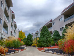 Pathway lined with colorful shrubs and trees leading between modern apartment buildings under a cloudy sky.