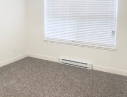 A minimalist room with gray carpet, a large white window with horizontal blinds, and a baseboard heater below the window.