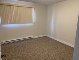 Empty room with beige carpet, white walls, and a large window with vertical blinds.